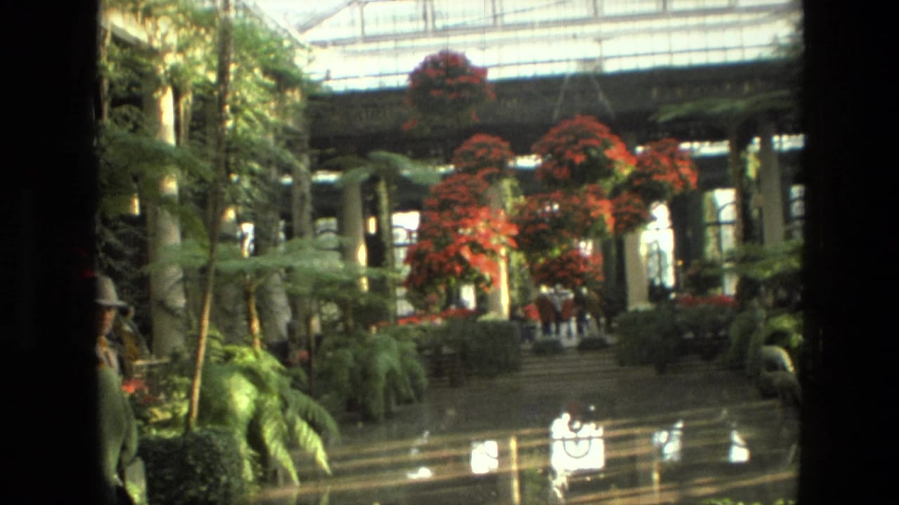 Indoor garden walkway with poinsettias, ferns, columns and visitors in the distance.