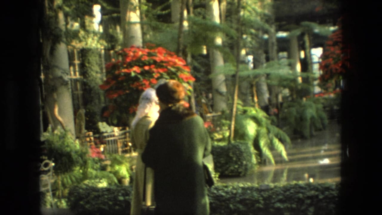 Women in coats stand in a 1972 Iran indoor garden, facing red poinsettias and greenery near columns and railings.