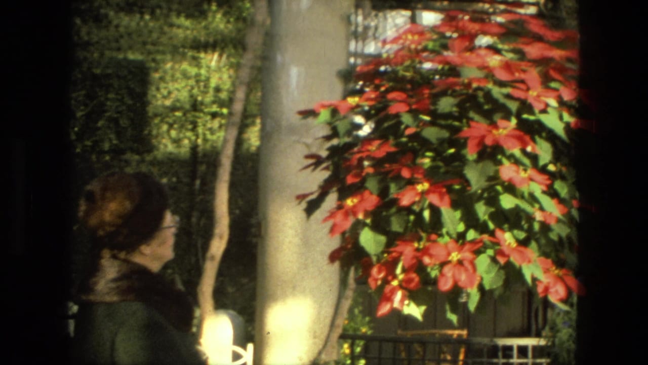 Woman in a dark coat looks toward a large red poinsettia beside pale garden columns.