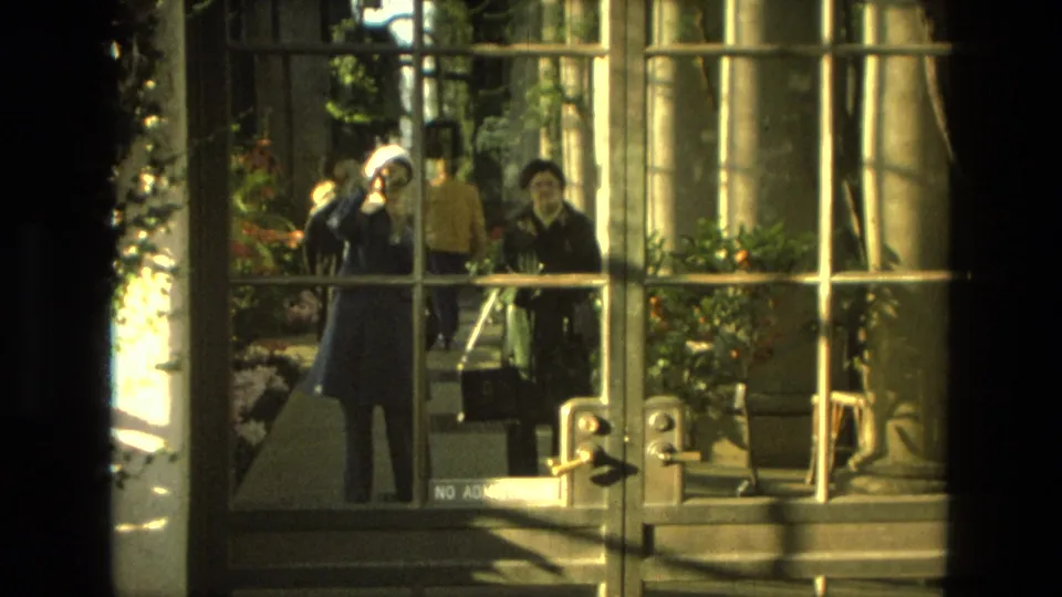 In 1972 Iran home-movie footage, two adults stand outside glass doors near a sunlit nursery display with pink flowers.