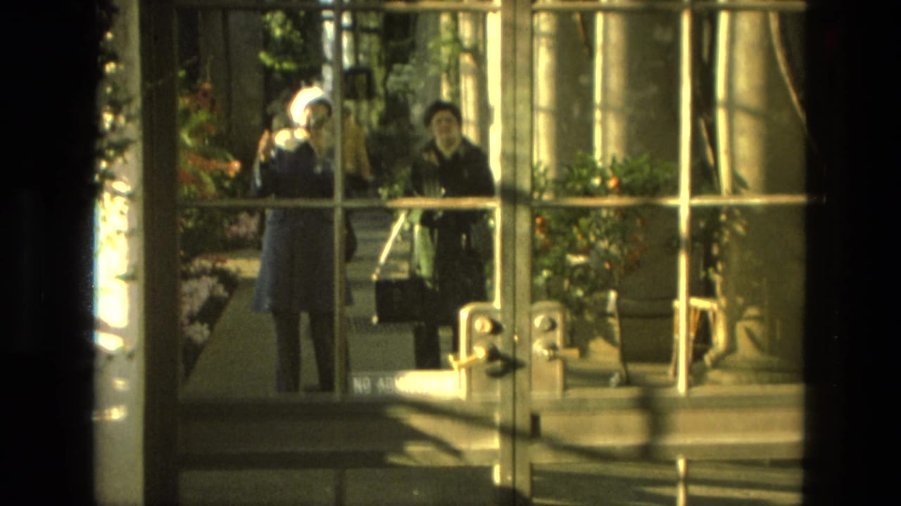 Two people are seen through glass doors with plants and sunlit steps nearby.