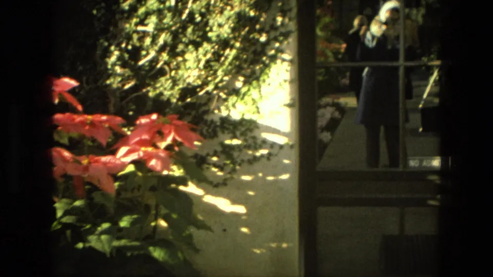 Pink flowering plants fill the foreground while two adults remain partly visible through the glass door in this 8mm Iran footage.