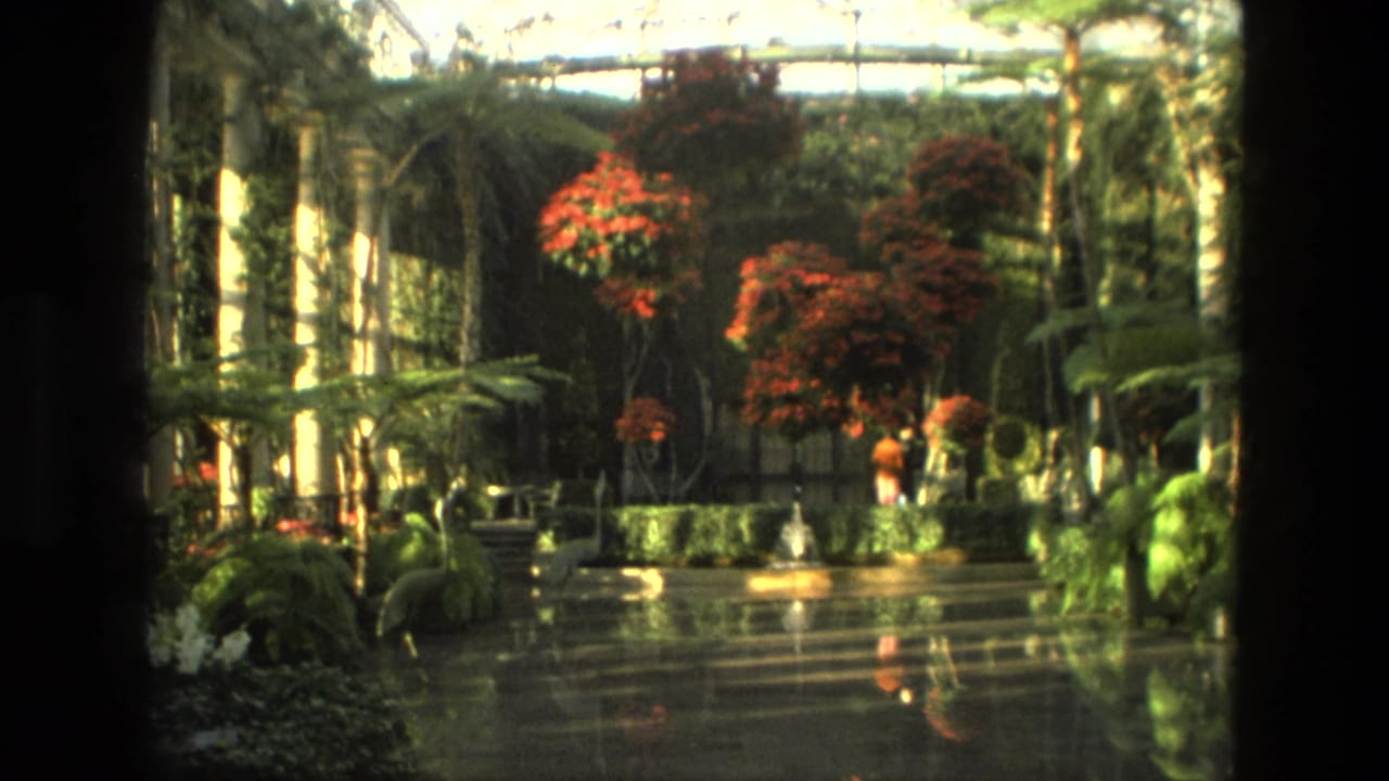 Greenhouse walkway with red flowering plants and distant visitors.