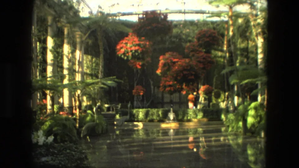 1972 Iran 8mm view down a greenhouse walkway with red flowering plants, palms, reflections, and distant visitors.