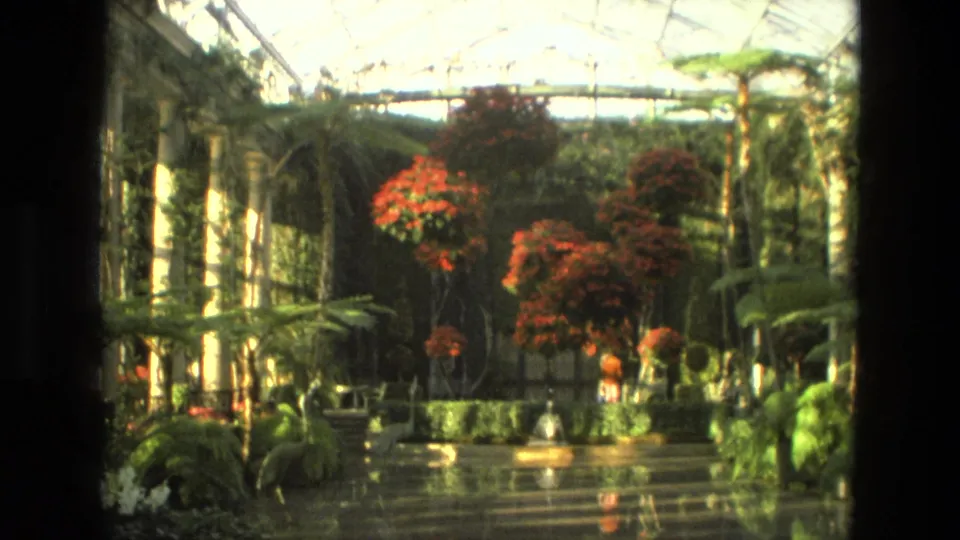 1972 Iran 8mm greenhouse view with a glass roof, tropical plants, red flowers, and a glossy reflective walkway.