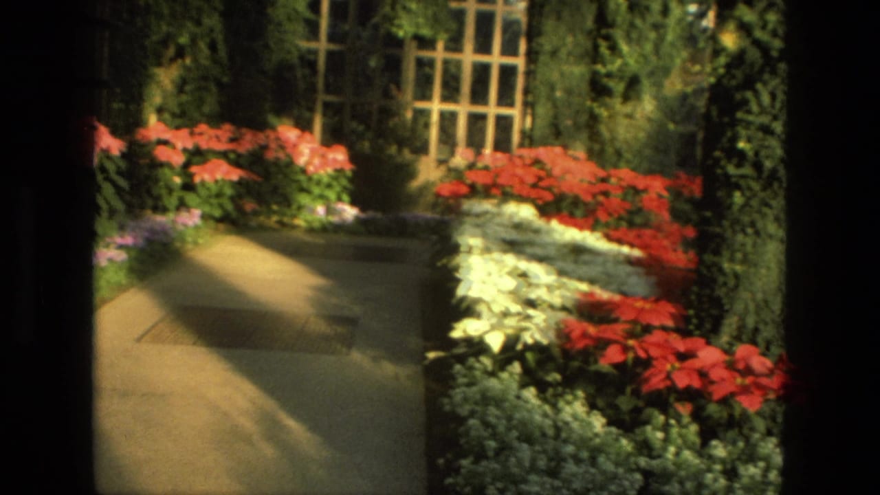 Garden walkway with red and white flowers beside dense greenery.