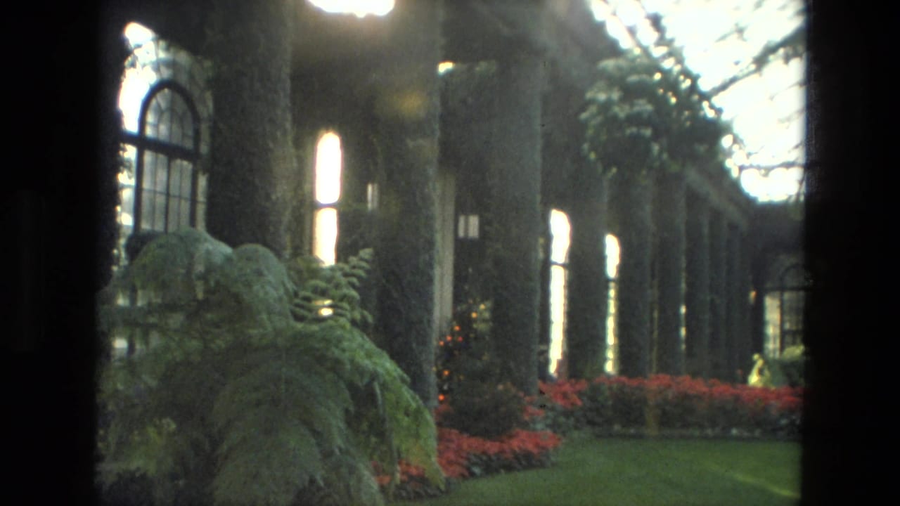 1972 Iran greenhouse interior with ivy-covered columns, arched windows, ferns, red flower beds, and filtered light from the glass roof.