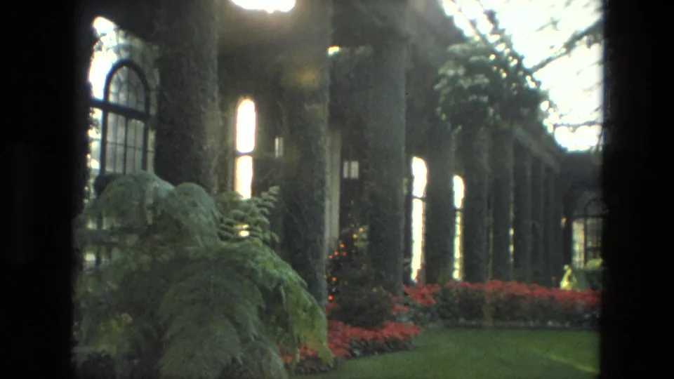 1972 Iran greenhouse interior with ivy-covered columns, arched windows, ferns, red flower beds, and filtered light from the glass roof.