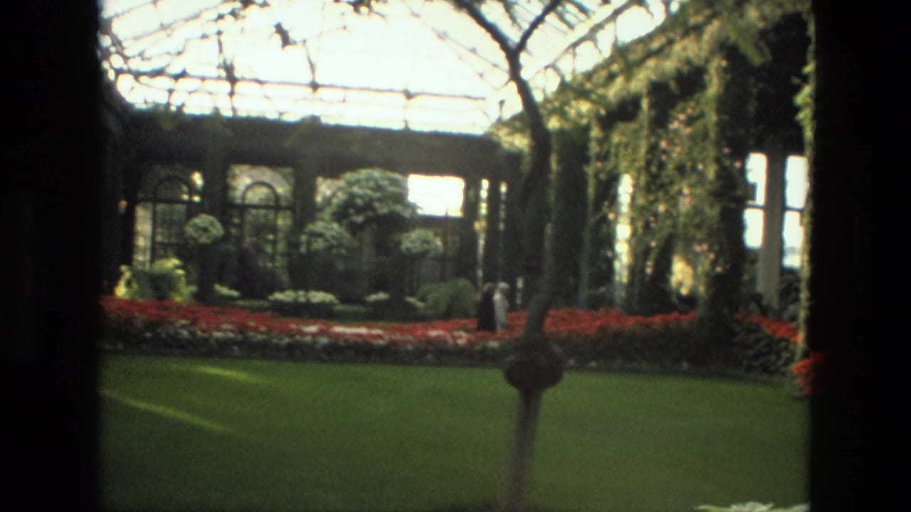 Indoor garden with green lawn, red flowers, arched glass, trees, and a dark central post.