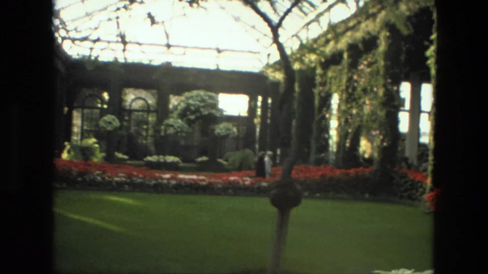 1972 Iran home-movie frame of an indoor garden with arched glass, manicured lawn, red flower beds, trees, and a dark vertical post.