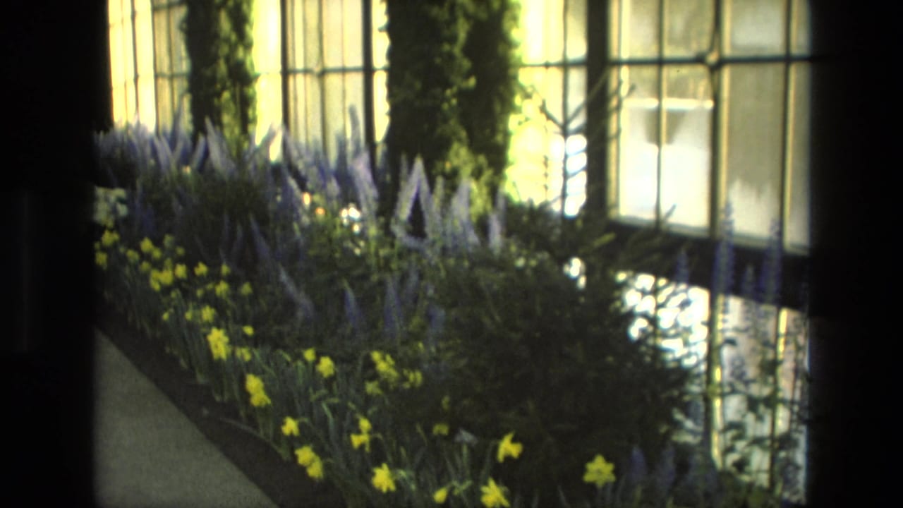 Flower beds and tall windows inside a botanical garden walkway.