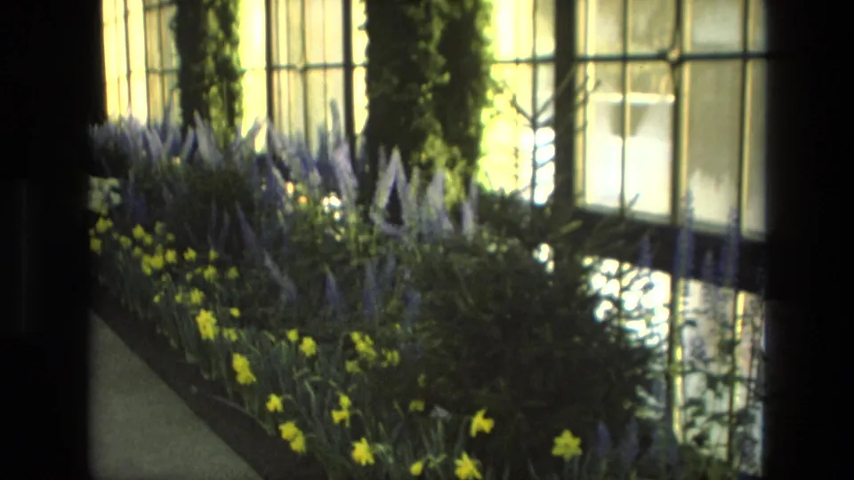 1972 Iran home-movie frame showing indoor flower displays, tall windows, and a paved botanical garden path.