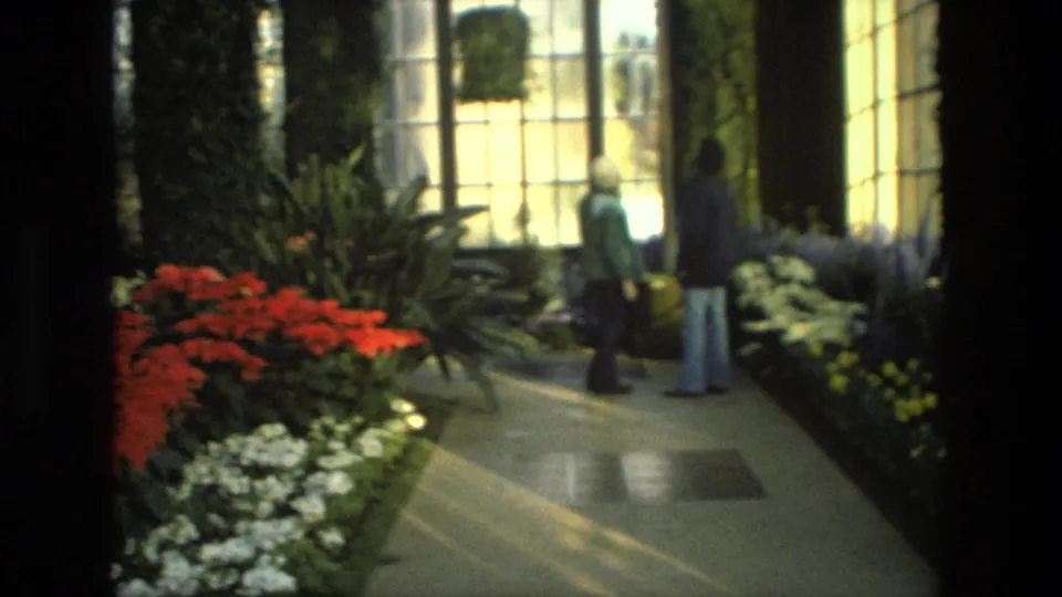 1972 Iran home-movie frame showing adults near red and white flowers along an indoor botanical garden walkway.