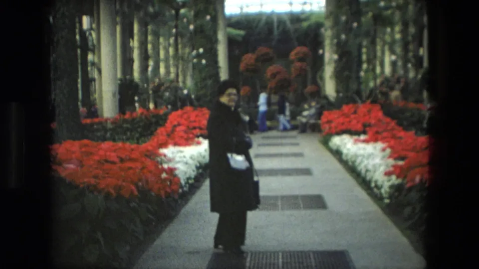 1972 Iran 8mm frame showing a dark-haired person in dark clothing on a greenhouse path lined with red and white flowers.