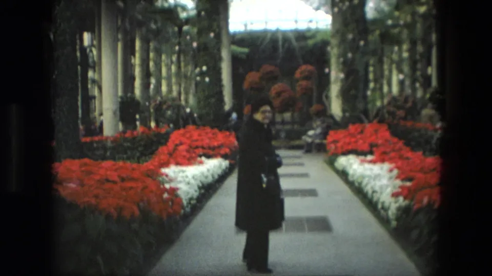 1972 Iran home-movie frame of a dark-clad visitor walking along a path bordered by red and white flower beds.