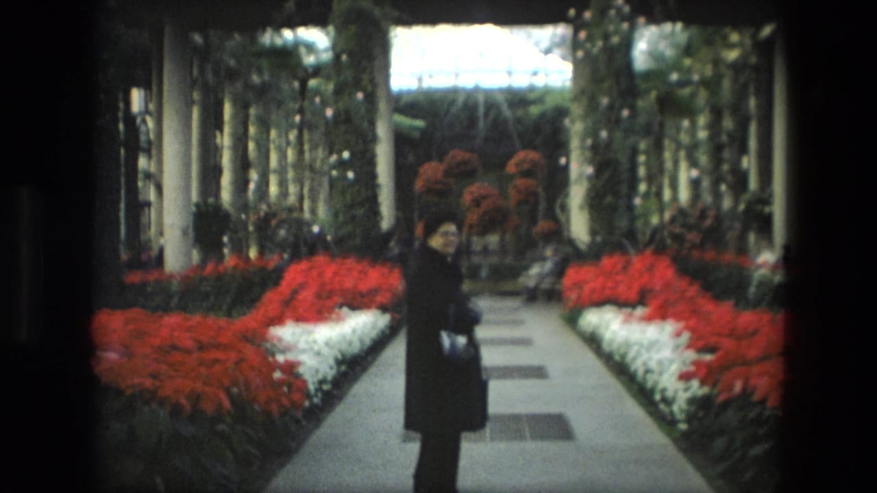 Woman in a dark coat stands on a greenhouse path between red and white flower beds.