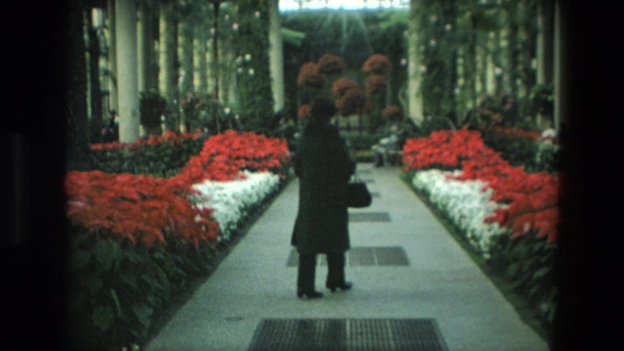 The woman walks deeper into the Iranian greenhouse, framed by symmetrical poinsettia beds and tall interior columns.