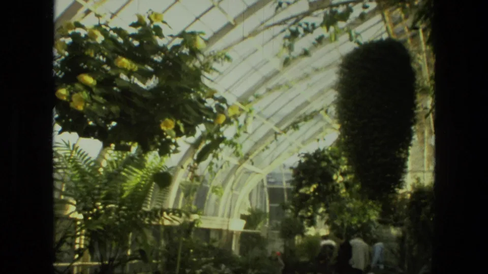 1972 Iran greenhouse interior with hanging baskets, arched glass structure, tropical plants, and distant visitors walking through.
