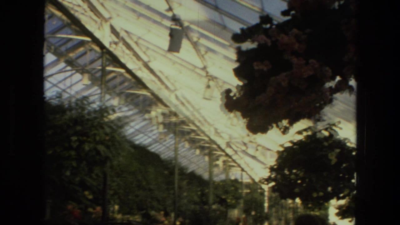 1972 Iran home-movie view across a greenhouse ceiling with suspended flowers, metal framing, lights, and lush plantings.