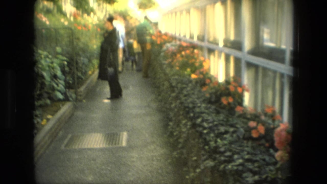 1972 Iran greenhouse scene with adult visitors on a narrow path, flowering beds, glass panels, and soft warm light.