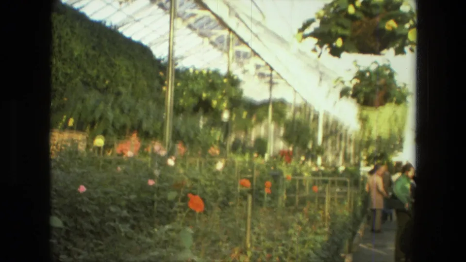 1972 Iran 8mm still showing visitors on a conservatory path beside roses, greenery, and a hanging basket.