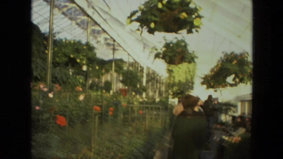 1972 Iran home-movie frame with visitors near rose beds, hanging baskets, and bright greenhouse roof framing.