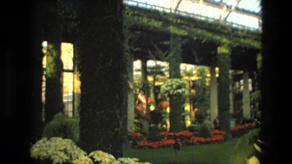 1972 Iran 8mm frame looking down a covered garden walkway with ivy-clad supports, glass roof, red flowers, and planted beds.