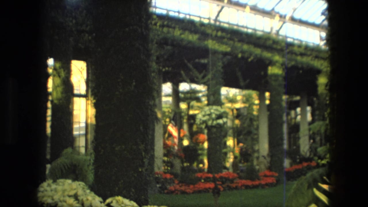 Indoor garden seen through dark frame edges with ivy-covered columns and flower beds.