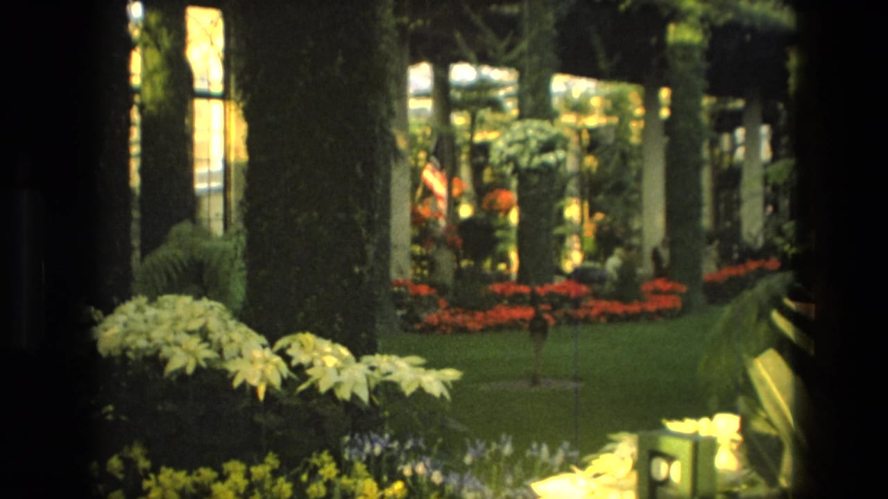 1972 Iran home-movie view across an indoor garden with ivy columns, red beds, pale blooms, broad leaves, and a small signpost.