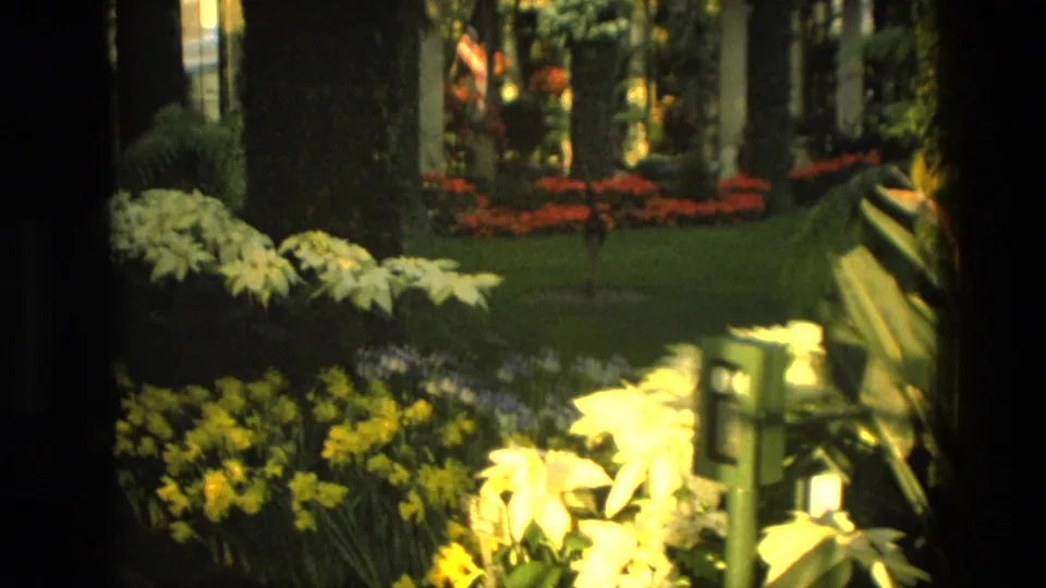 1972 Iran 8mm frame with dark border, indoor garden beds, ivy columns, red flowers, yellow blooms, and pale foliage.