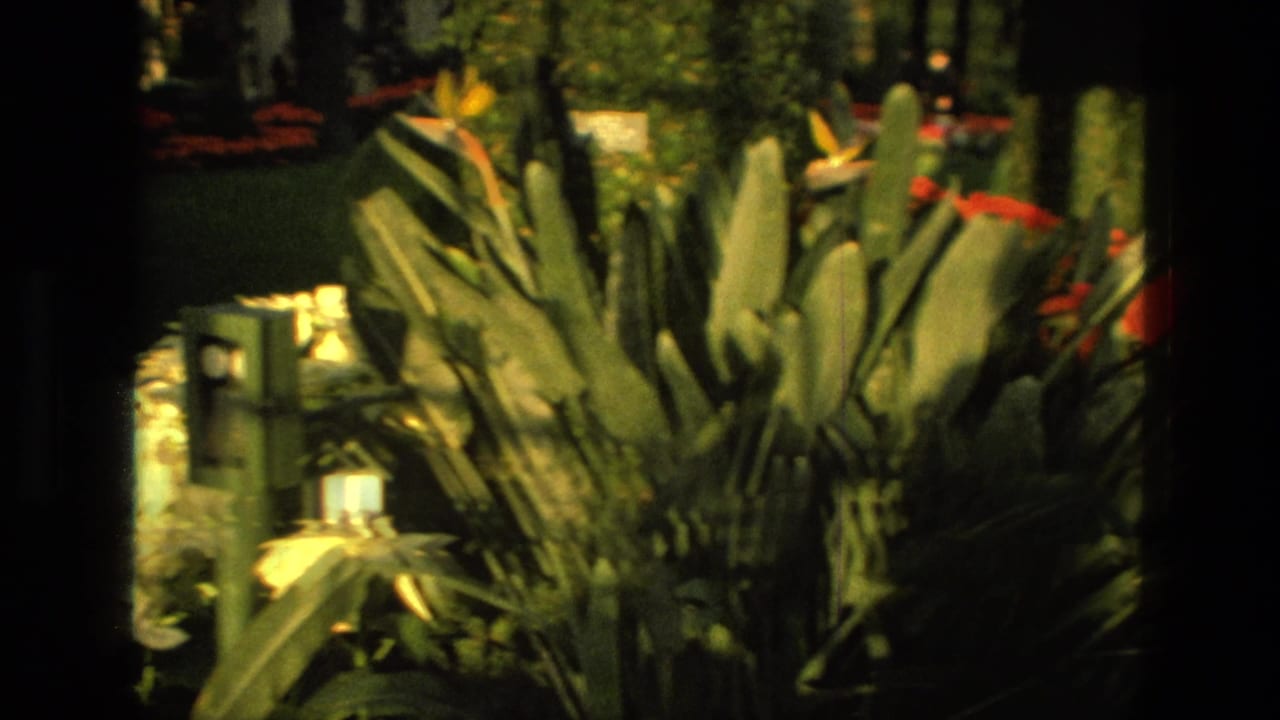 Tropical plants and red flowers line a dim indoor garden path.