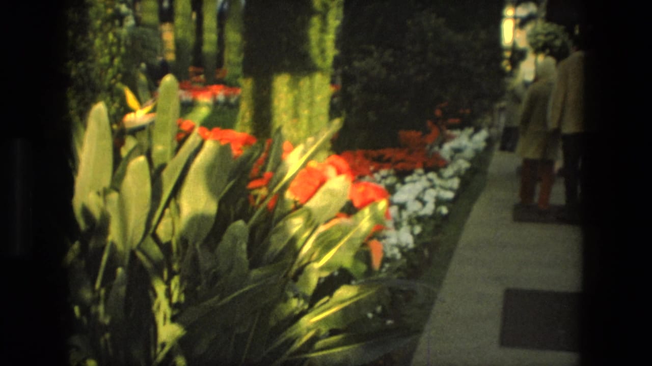 Flower beds and a paved path lead toward people walking indoors.