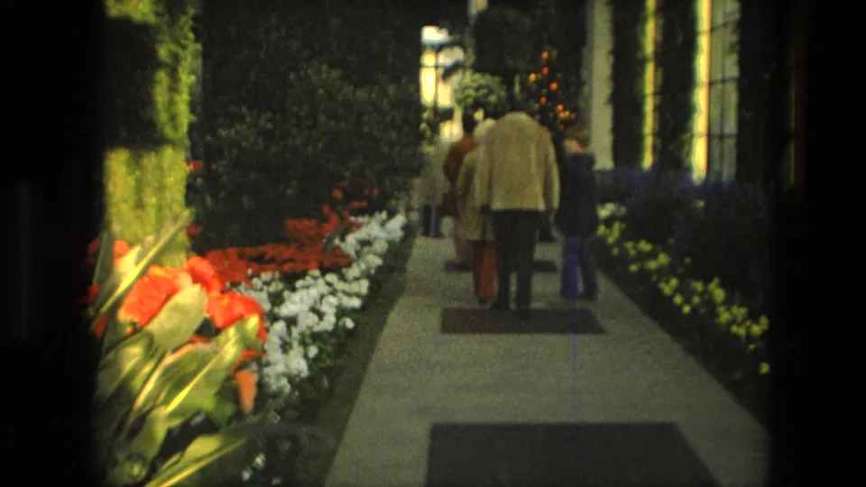 1972 Iran home-movie frame showing several visitors from behind on a paved indoor garden path with dense flower beds.