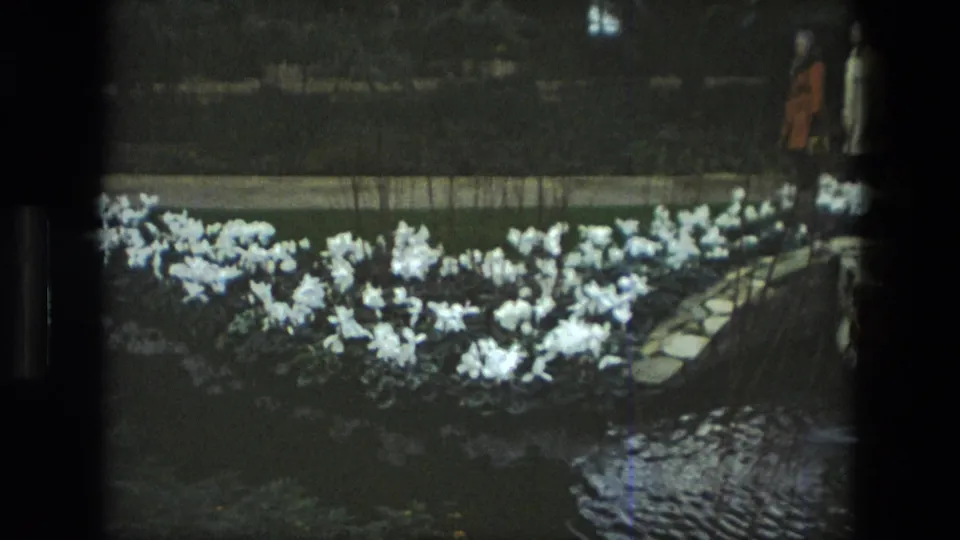 White flowers line the pond in this 1972 Iran garden view, with the two women partly cropped at the right edge.