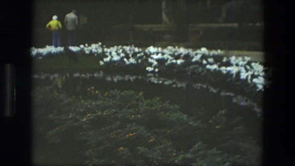 1972 Iran 8mm frame showing two distant park visitors near a curved white flower bed, pond water, and planted garden beds.