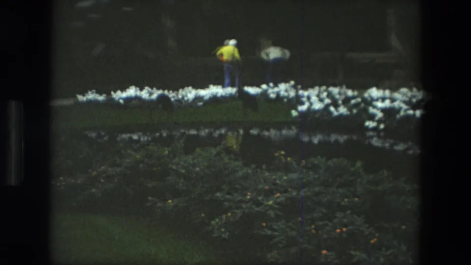 1972 Iran home-movie frame with a visitor in a yellow jacket by a white flower border, pond, umbrella-like shape, and dark greenery.