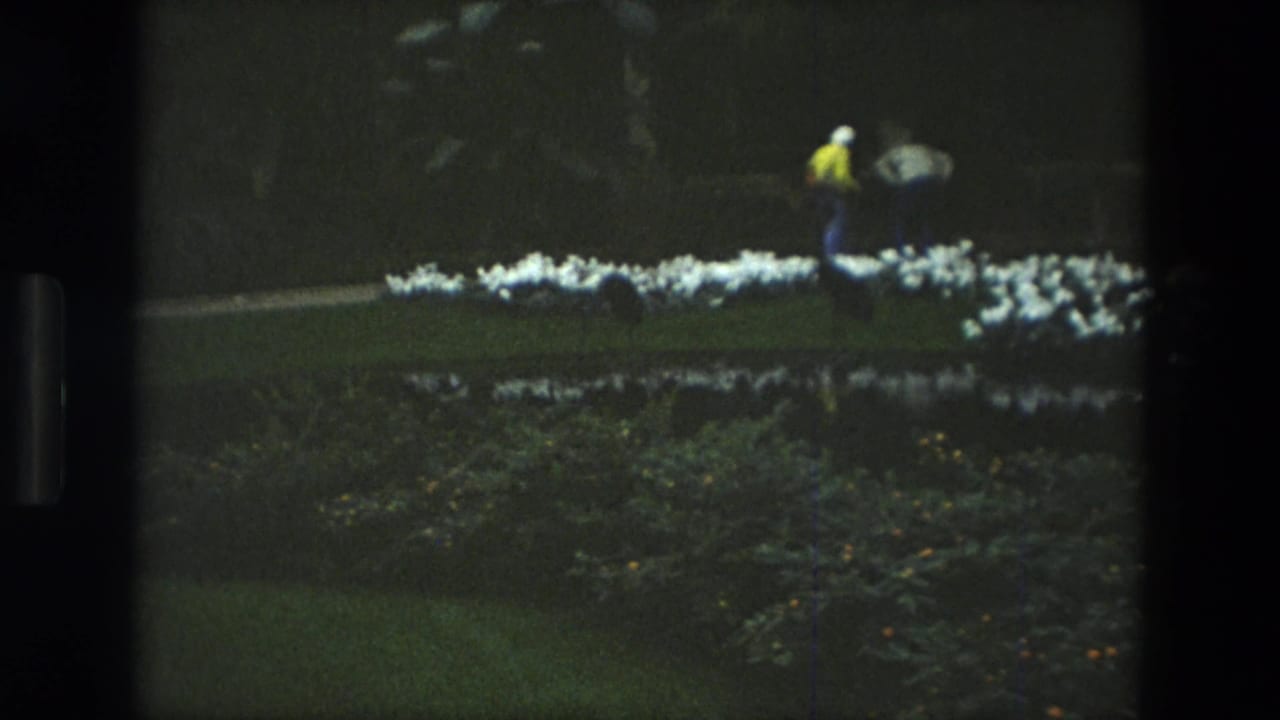 Garden lawn with white flower beds and a distant person in a yellow shirt.