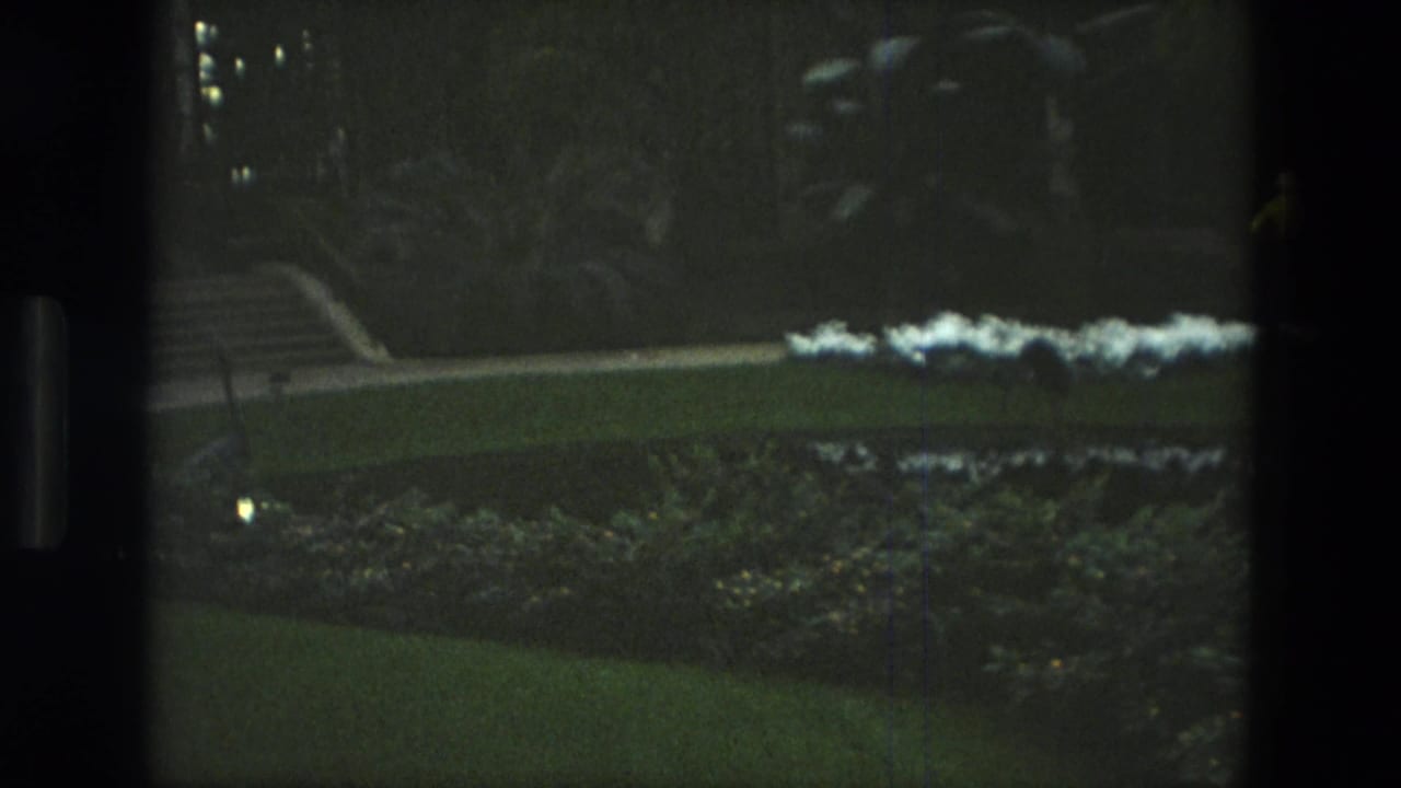 Garden bed, lawn, steps, and a low line of white flowers near trees.