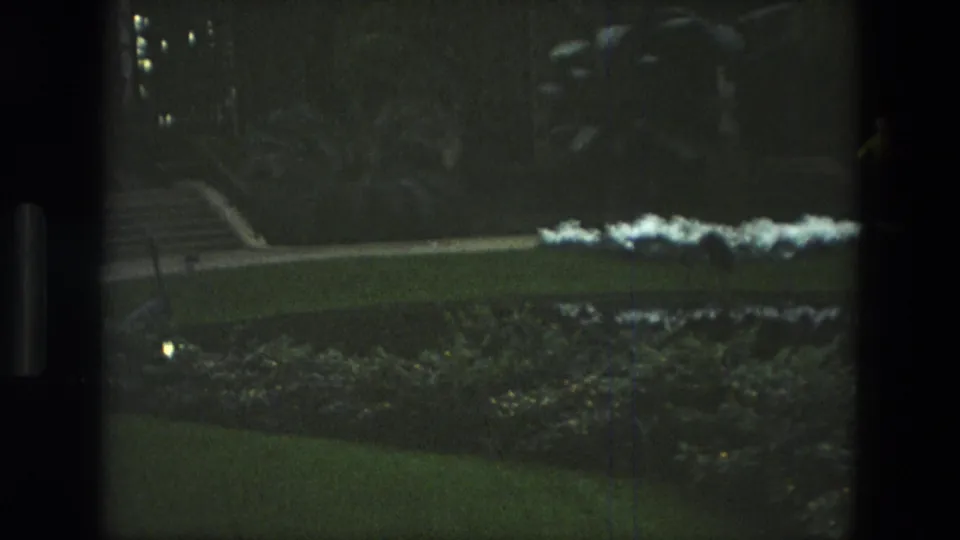 1972 Iran 8mm frame with a landscaped lawn, white flowers, planted beds, steps, and trees in a shaded garden area.