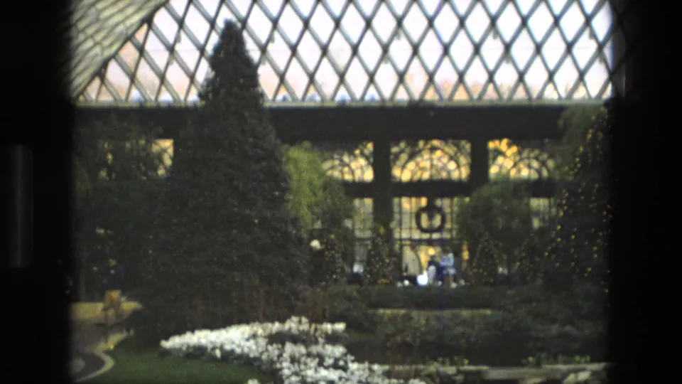 1972 Iran 8mm frame showing a large glazed building behind trees, with garden paths, white flowers, and small distant figures.