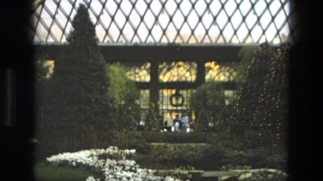 1972 Iran home-movie frame showing decorated evergreen trees, shrubs, a wreath, and distant visitors inside a glass conservatory.