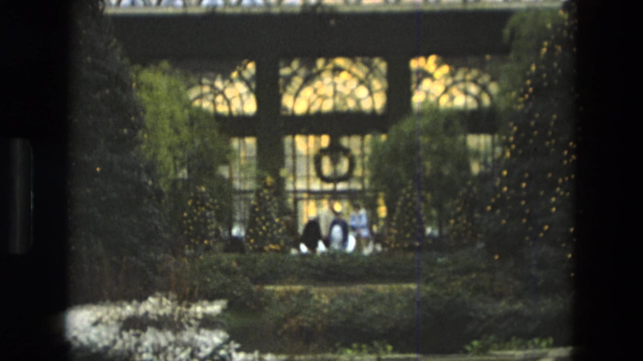 1972 Iran home-movie frame showing planted indoor garden beds below patterned glass windows, with distant visitors partly visible.