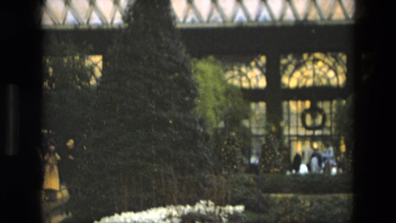 A visitor in a yellow coat walks through a planted indoor garden in Iran, with patterned glass and dense shrubs in the background.