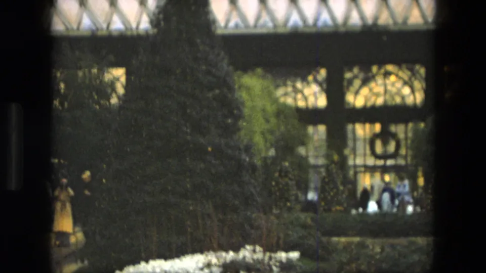 A visitor in a yellow coat walks through a planted indoor garden in Iran, with patterned glass and dense shrubs in the background.