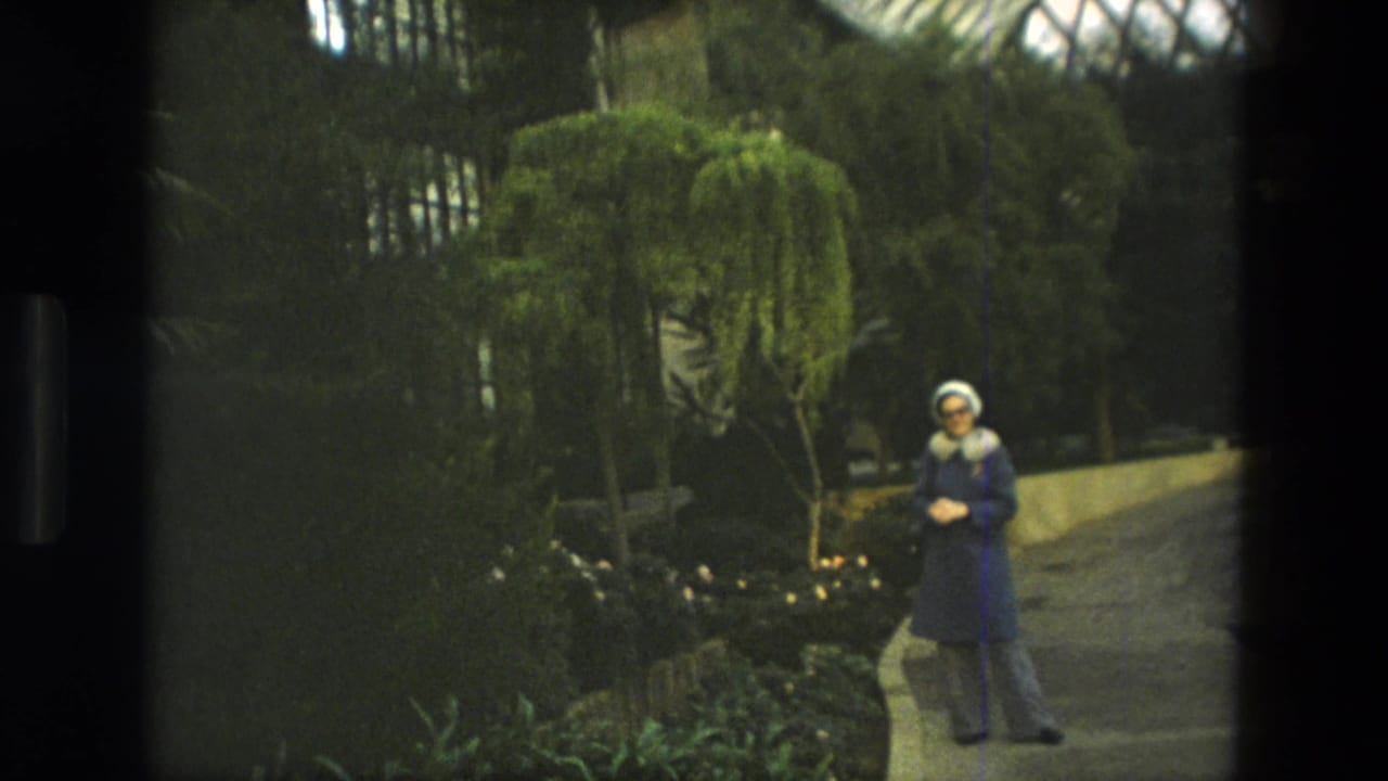 Woman standing on a garden path near flowering plants and a shaped tree.