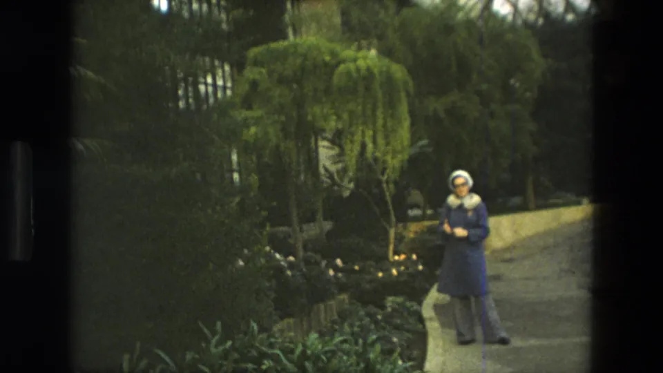 Adult woman in 1972 Iran stands beside a curved paved path, with flowers, shrubs, and a small tree nearby.