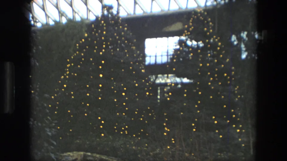 A covered garden or conservatory area appears with leafy plants, small decorative lights, and bright glass roof panels in the background.