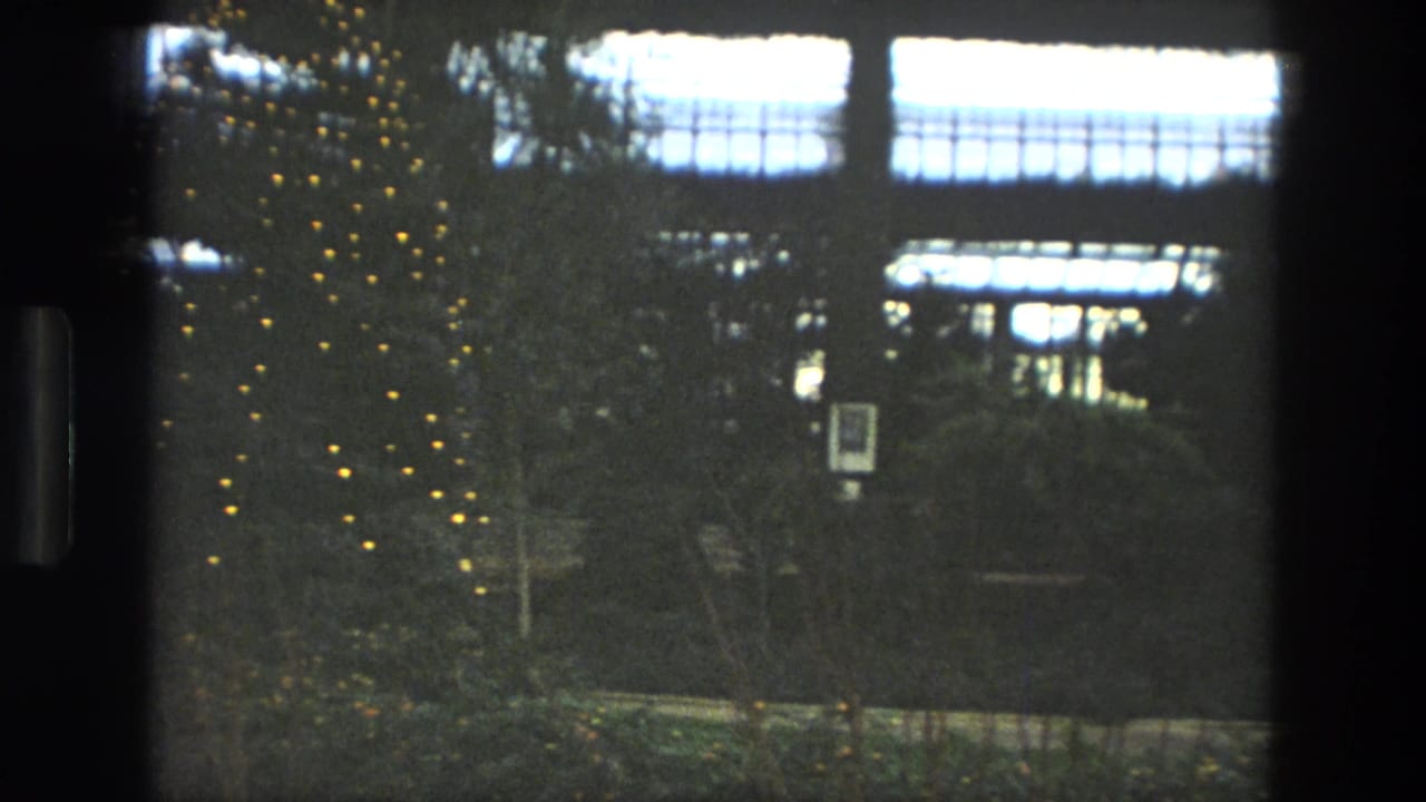 1972 Iran home-movie frame with holiday lights among garden trees and a large windowed building in the background.