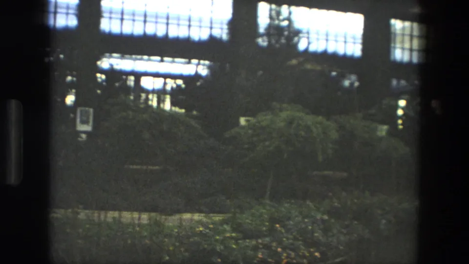 1972 Iran 8mm frame showing a dim landscaped garden with bright building windows and a small lake or pond edge.