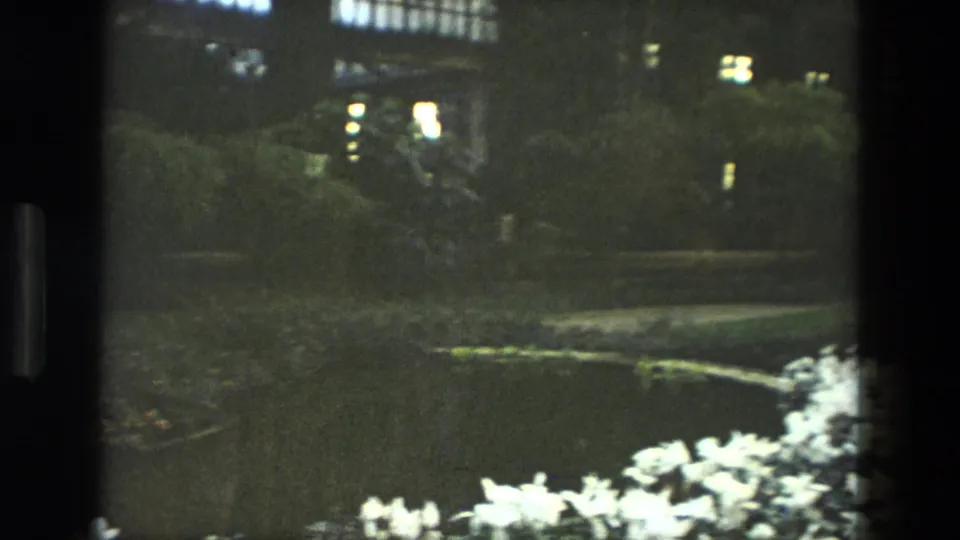 1972 Iran home-movie frame with a dark garden water feature, scattered lights, shrubs, and pale flowers in the foreground.